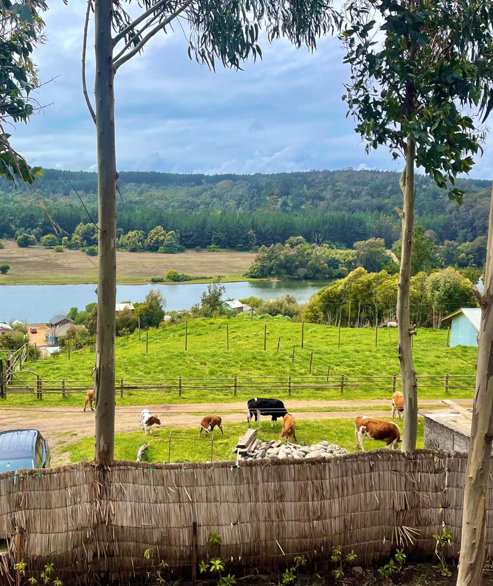 Casa de férias Minicasa En Llico *